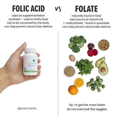 acid folic bioclinica|Folat seric (acid folic)